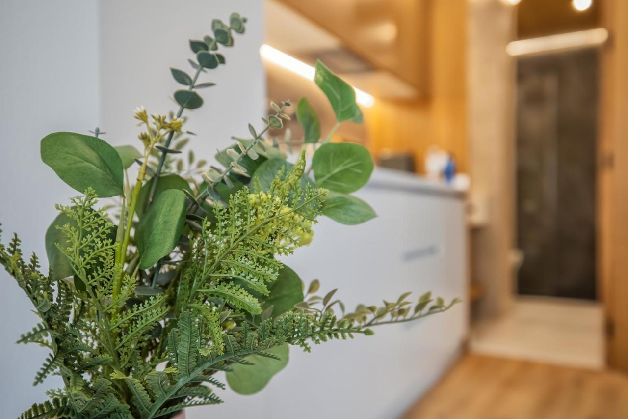 קורדובה Olivia Suites Apartments מראה חיצוני תמונה